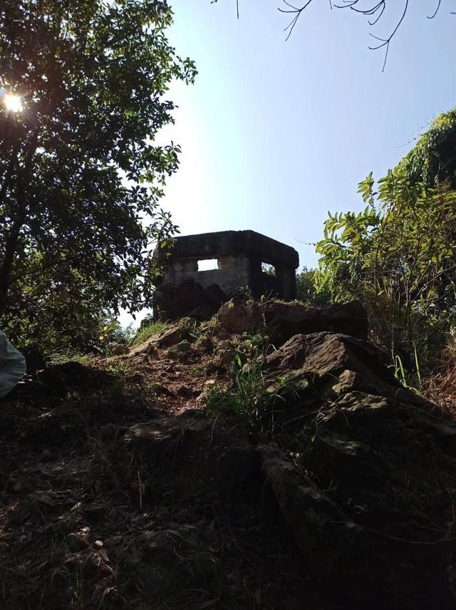 龙眼洞森林公园，广州龙洞森林公园介绍（广州徒步之渔龙线……）