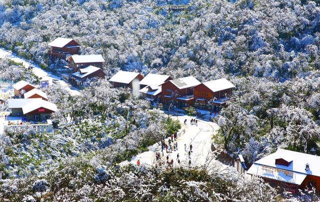 第二十四届金佛山冰雪季开幕 |邀您共赏“南国雪原”的冬日盛景！