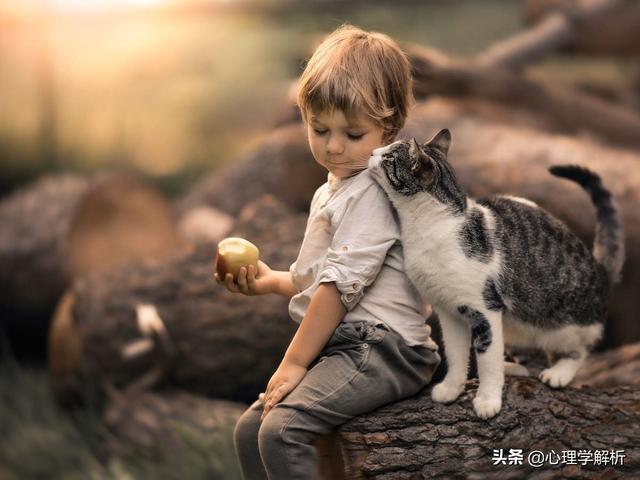 独生子女的好处，独生子女的好处和坏处（心理学：独生子女特点总结）