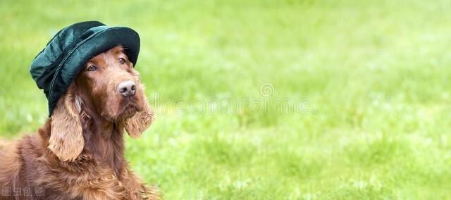 如何增加财运的方法，口袋放一样东西必定发财（普通人怎么发财）