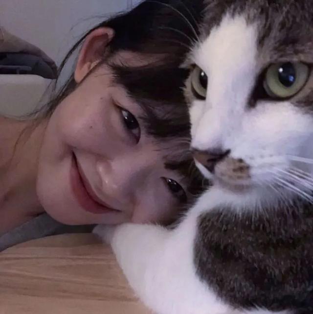 猫系女孩，微信头像，猫系女孩（女生头像：抱猫头像）