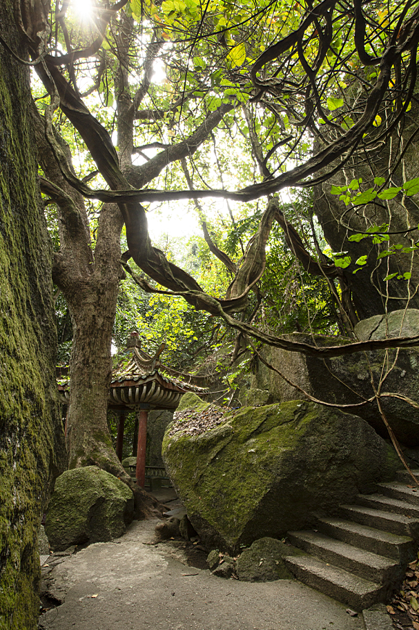 广西有哪些景点值得去，广西有哪些景点值得去看（快把广西这些游玩不累、老少皆宜的山湖美景安排上~）