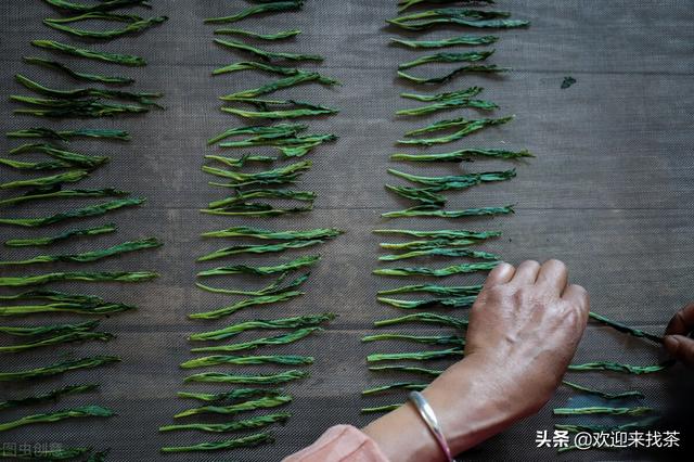 太平猴魁属于什么茶类，太平猴魁属于什么茶（太平猴魁属于什么茶 功效是什么）