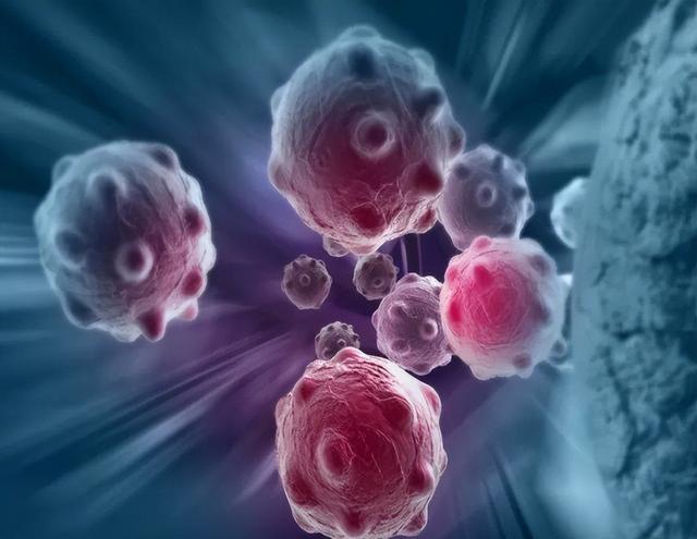 什么是偏二氯乙烯，偏二氯乙烯和二氯乙烯（对身体有害还会致癌）