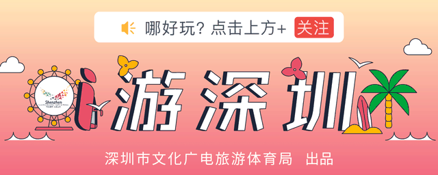 收藏！深圳各口岸配套公共交通接驳攻略都在这！
