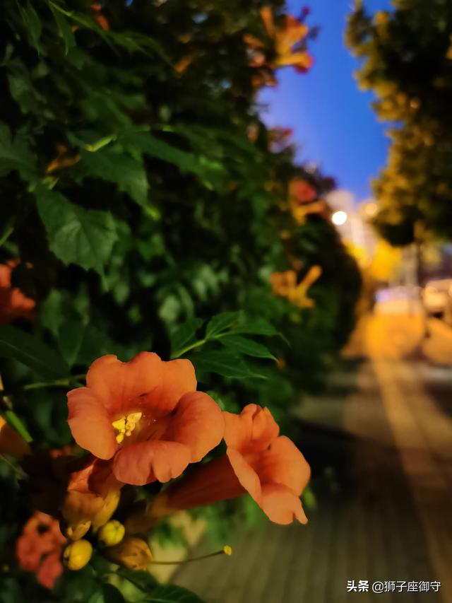 初一家长寄语大全精华，初一家长寄语鼓励（给初一娃的结业寄语）