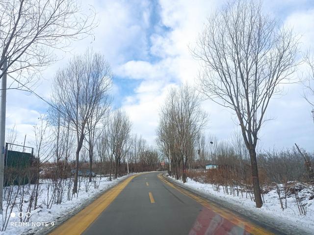 阅读理解的技巧和方法，阅读理解的技巧和方法有哪些（读《高效阅读》分享五种阅读方法）