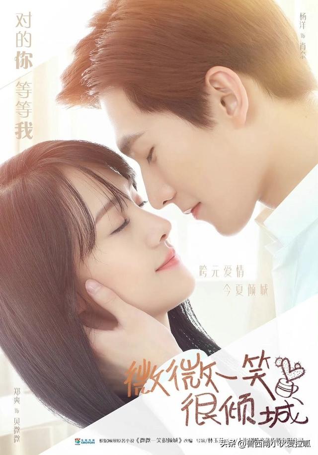 郑爽演的芦苇微微是哪个电视剧，郑爽郑爽演过的电视剧（８位电视剧学霸女主）