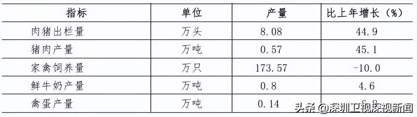 深圳有多少人口(佛山市总人口有多少人)