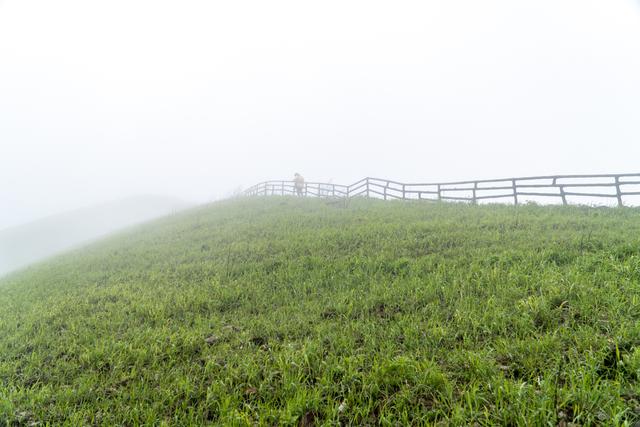 江西武功山几月份去最好，武功山适合几月份去（武功山又到了一年一度最美的季节）