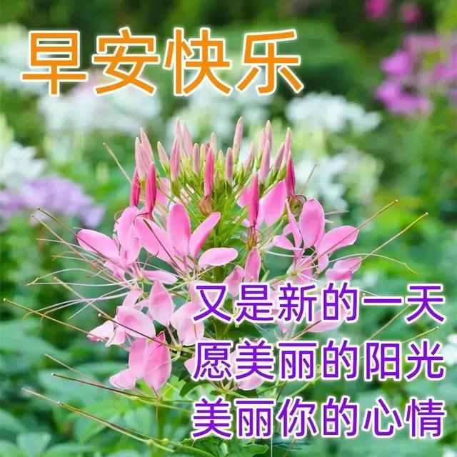 03年属什么生肖，03年属什么（2023年04月03日）