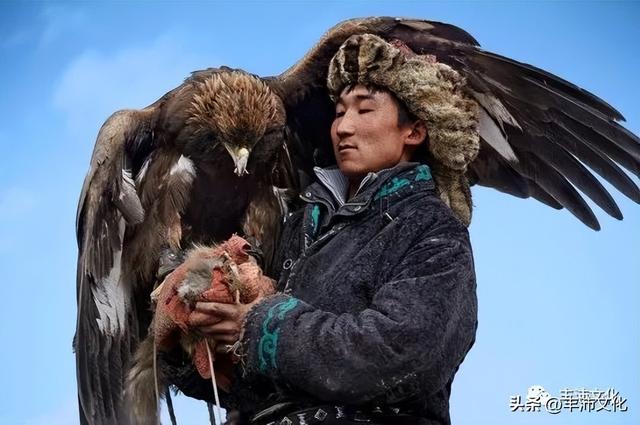 茧有何寓意，茧跟什么有关（这些常说的“侃子”②）