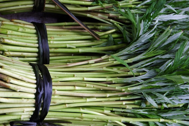 农村100种野菜图片，农村100种常见野菜（让你轻松认识各种野菜和吃法）