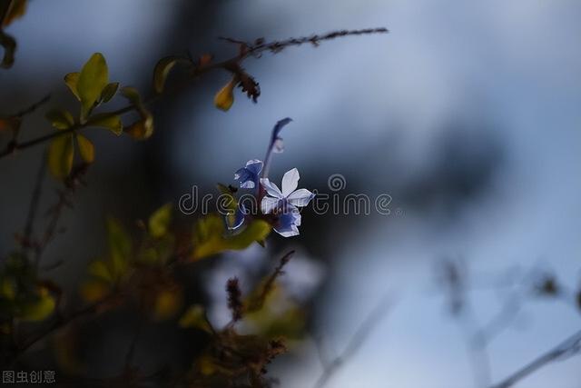 温暖思念牵挂祝福短信，温暖思念牵挂祝福短信怎么发（写给今生最想念的人）