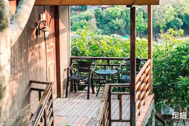 深圳一日游免费必去的地方，深圳最适合一日游的15个免费景点（深圳10个小众打卡地）