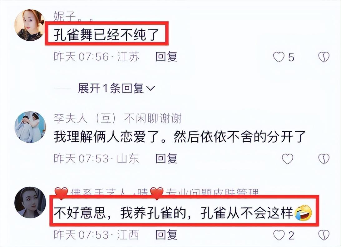 乱了服饰（杨丽萍孔雀舞被批低俗）