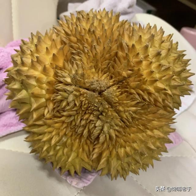 怎么挑选剥开的榴莲肉，榴莲剥出来是什么样子的肉（买榴莲：别只会挑大的）