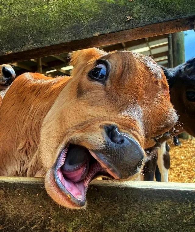 “我有点不开心，微信头像，“我有点不开心，不只一次，不只今天，不只是你”丧系女生头像（所有的不开心就止步于此吧）