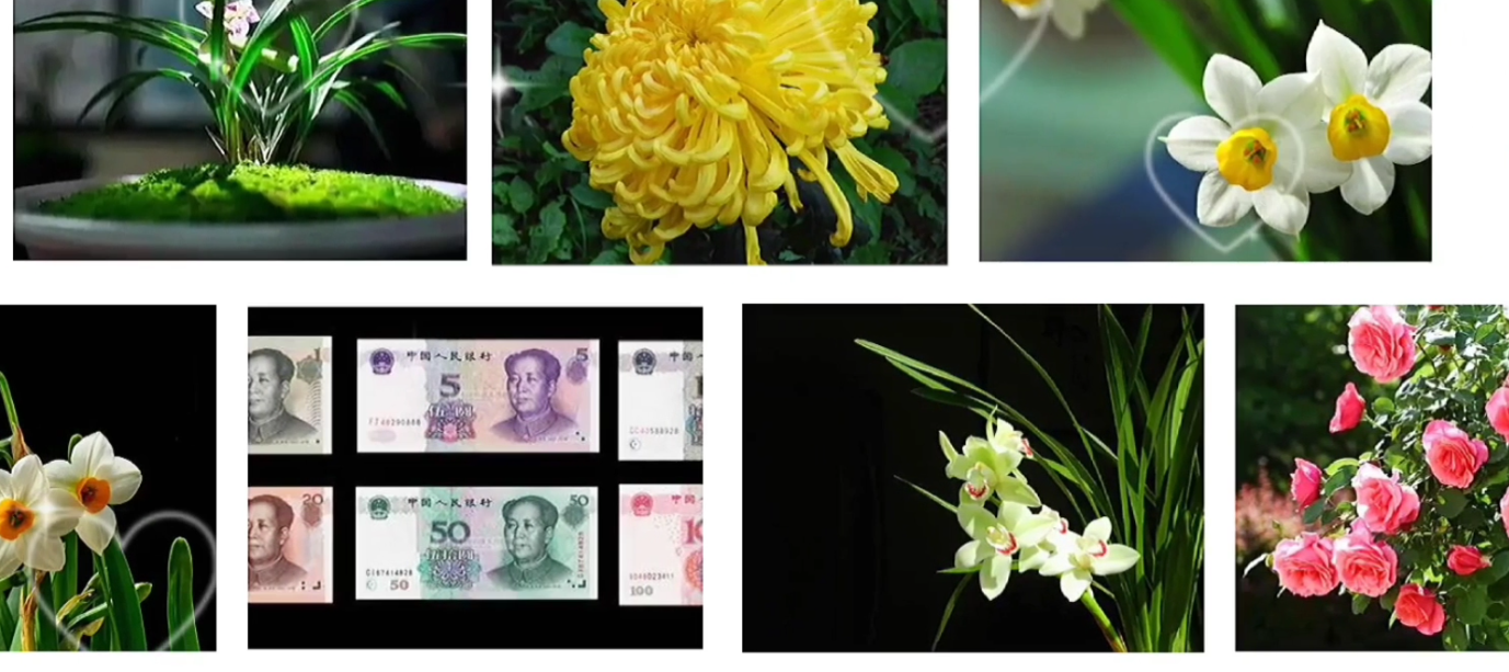 人民币上印字还能花吗(人民币上面的水印是什么花)-娱宸网