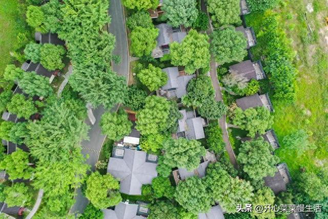 想知道广东普宁的度假村有多美吗？当地人都不敢说自己是当地人！