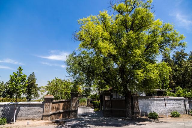 安阳好玩的地方，安阳周边那些不太出名但好玩的地方（安阳游玩︱推荐七朝古都游玩0元打卡的5个景点）