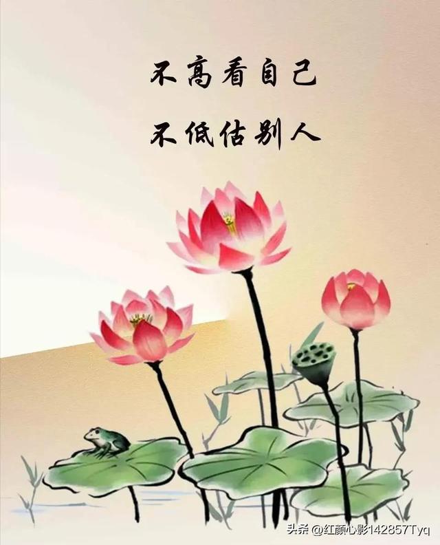 每天一个心灵感悟，早安每天一个心灵感悟（每日一篇 心灵感悟<精华>）