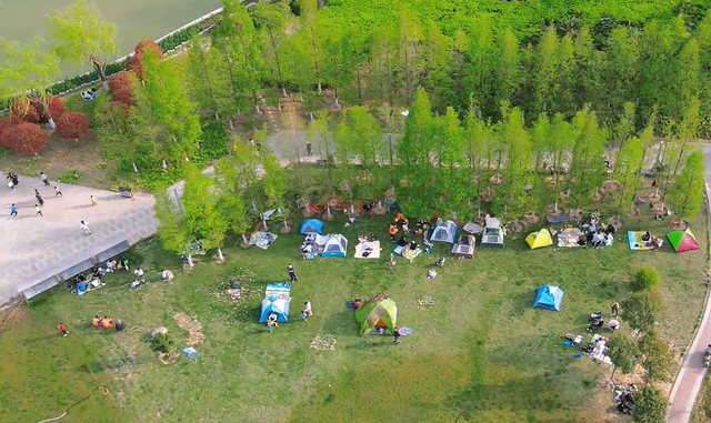 郑州周边免费景点，郑州最近免费旅游景点大全（不出郑州的8个赏花遛娃地）