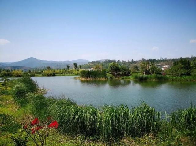 关于心态的句子，保持心态的好句子（保持乐观心态的句子，简短入心）