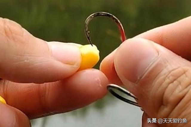 钓鱼技巧全攻略，如何钓鲫鱼钓鱼技巧全攻略（钓鱼技巧：4个实用野钓技巧）