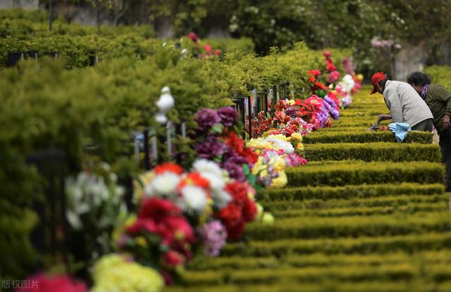 清明节不能做的25件事，清明节不能做的事有哪些（老规矩“2果不能带）
