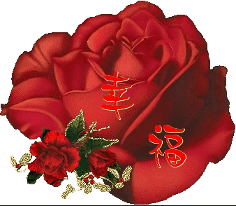 999朵玫瑰,送你999朵动态玫瑰花(999朵玫瑰邰正宵)