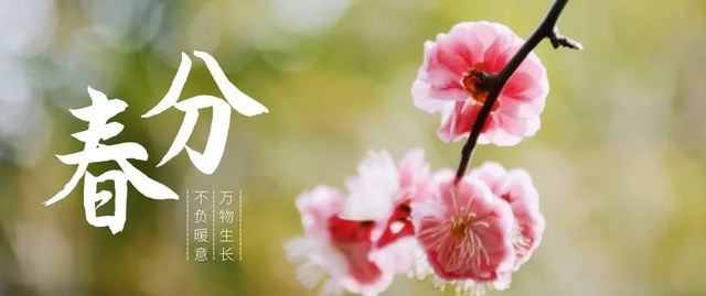 雨水节气的古诗，关于雨水节气的诗句有哪些（<三春六节气诗词颂>）