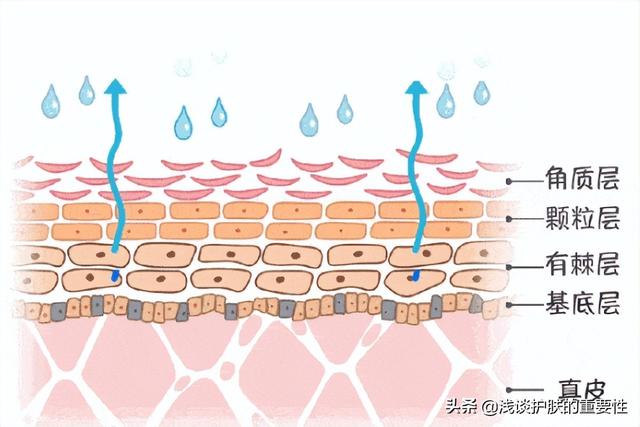 补水喷雾一天喷几次合适，保湿喷雾的使用步骤（补水喷雾真的能起到补水的作用么）