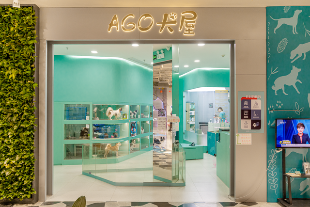 深圳海洋世界攻略，海洋馆、水秀剧场、梦幻巡游…在这里全都有