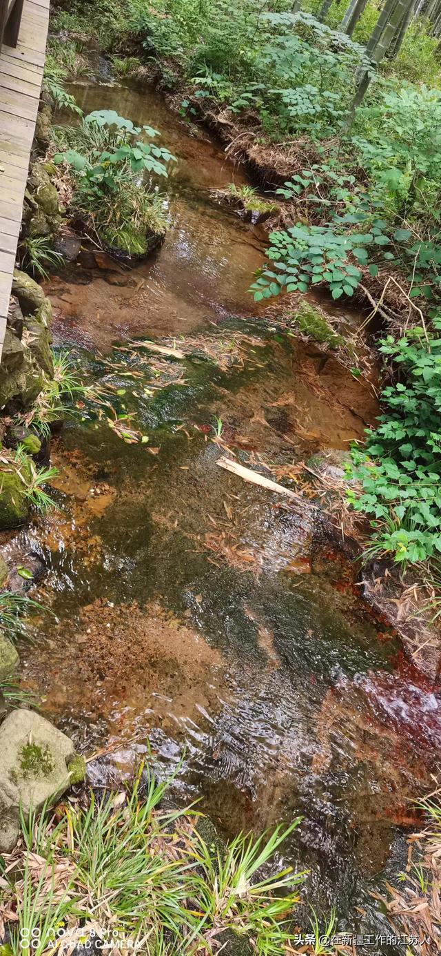 南山竹海在哪里，“南山竹海”是一个来了就可以抛开烦恼的地方