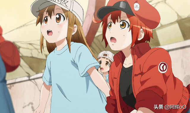 最适合在晚上看的动漫恋爱，适合晚上看的恋爱动漫菠萝（适合晚上一个人悄悄看的十部动漫…）