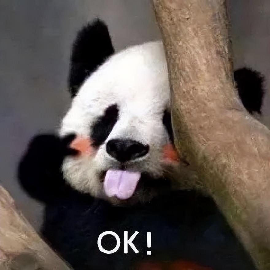 最近很火的表情包(网上超火的表情包)