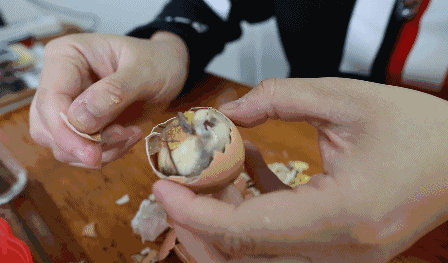 活珠子是什么东西，活珠子是什么东西图片（火爆网络的“活珠子”究竟是啥）