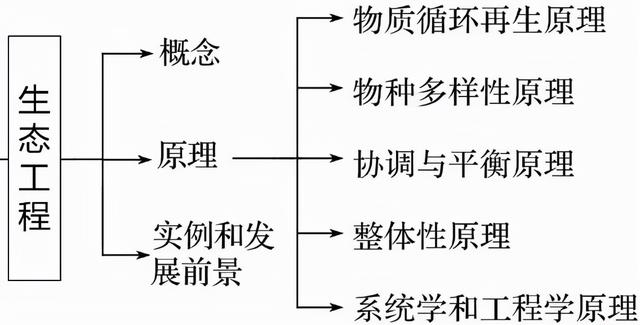 完整的基因表达载体包括哪些，完整的基因表达载体包括哪些方面（高）