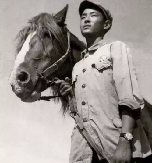 娱乐圈那些让人过目不忘的演技派，演技最贵的6位娱乐圈清流