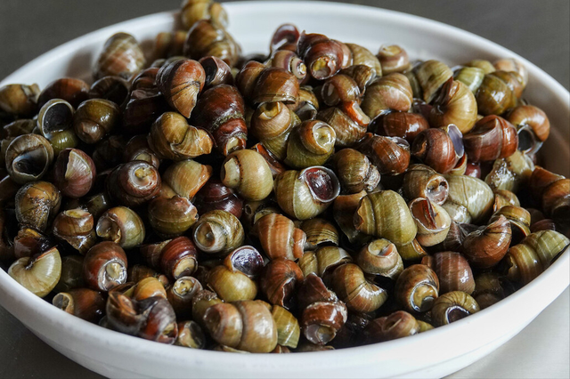 田螺肉怎么炒好吃，田螺煲怎么做好吃（偷偷多加1味料）