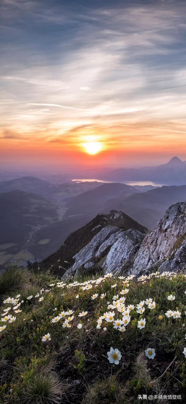 强颜欢笑的意思大概是笑着用最美的方式难受，强颜欢笑是一种什么感觉，微信头像（只为证明没有你）