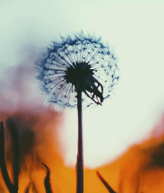 时间煮雨是什么意思，煮雨是什么意思（唯美文艺浪漫诗句）