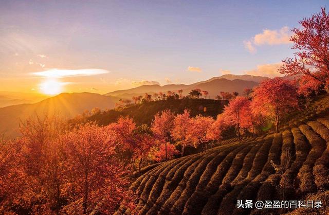 苍山门票及索道费，四十五个免门票景点（去大理寻一场风花雪月）