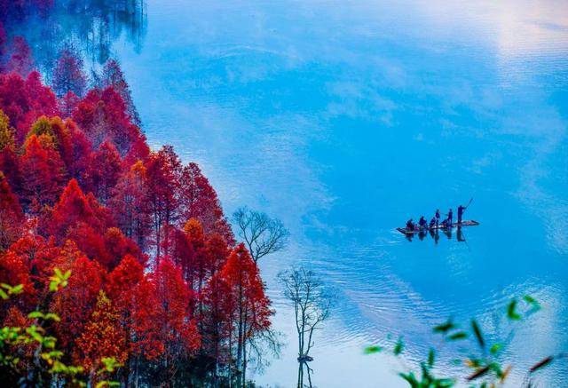 10种代表秋天的景物，秋天的景色有哪些（这10个小众绝美的秋景地）