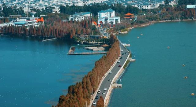 云南最好吃的野生菌在哪，中国最浪漫城市非她莫属