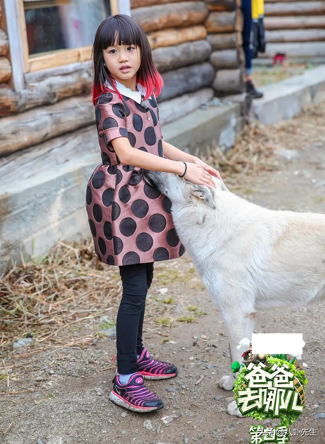 夏克立女儿，夏克立是哪国人（《爸爸》6位萌娃变美少女）