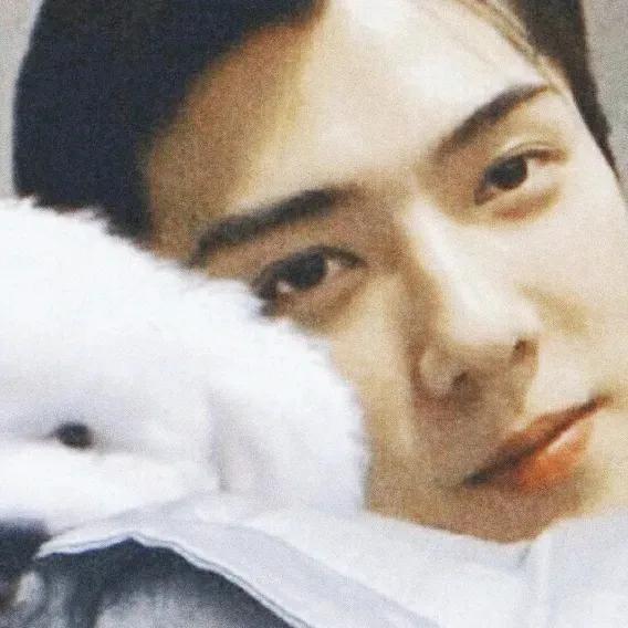 exo表情包，微信头像，exo表情包（EXO高质量茶蛋头像）