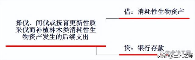 消耗性生物资产，消耗性生物资产是什么（生物资产案例分析及关键考点）