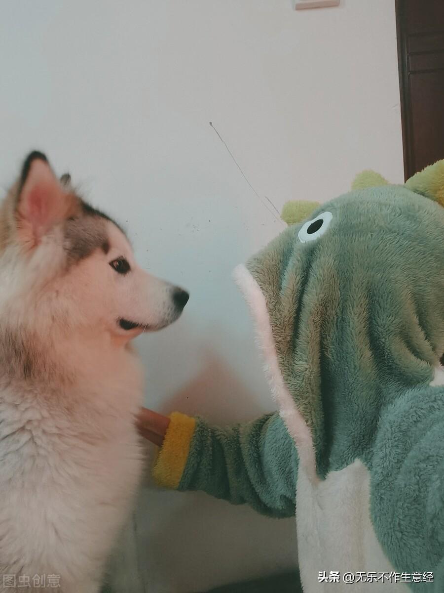 赚钱的方法(赚钱秒到账的游戏)